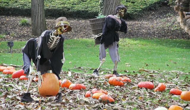 haben ganz schön schwer zum tragen