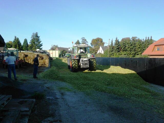 Die Silage muss gut verdichtet werden