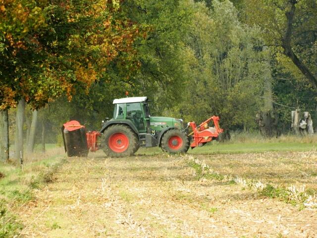 Das gründliche Zerkleinern und tiefe Unterpflügen verhindert ein Ausbreiten des Maiszünslers