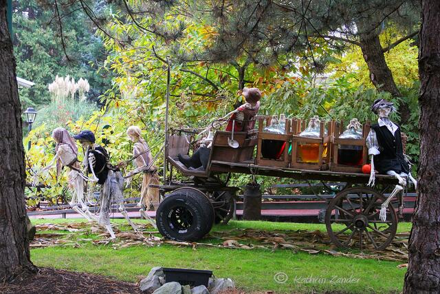 Alkohol ist der Retter in der letzten Not oder doch der Tod?