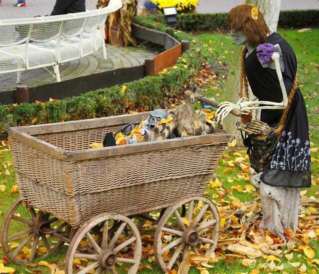 Hübsche Mama mit Kinderwagen