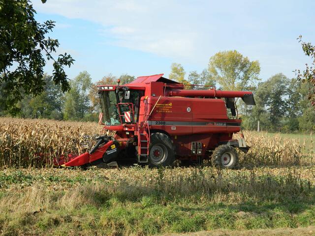 Mähdrescher Case IH 2388