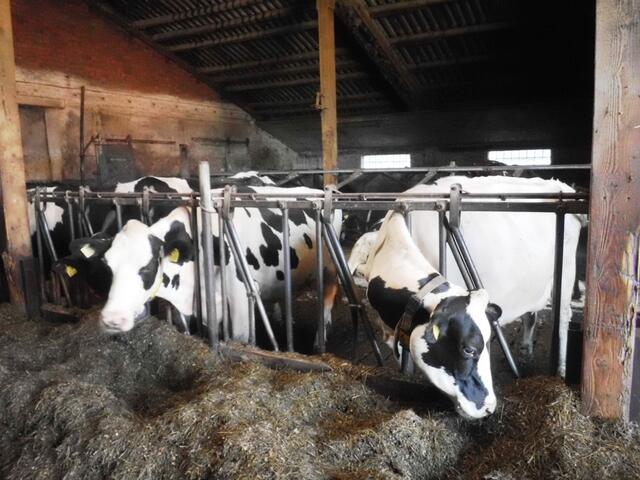 Wer Milch gibt muss auch fressen