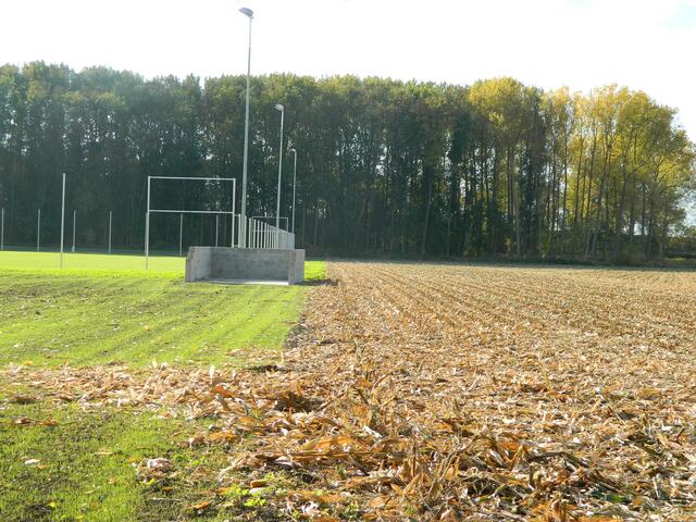 Rechts ist das Feld abgeerntet und die Stümpfe sind gehäckselt - Links auf dem Trainingsplatz des KSV ist der Rasen angegangen