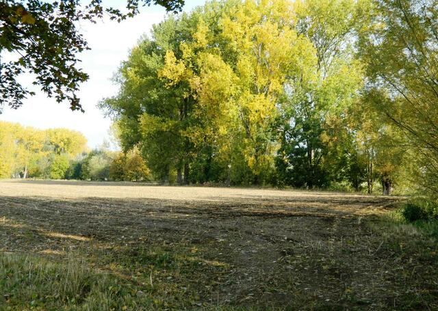 Feld fertig für die weitere Fruchtfolge
