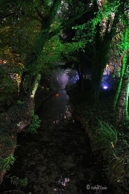 schaurige Stimmung am Wasser