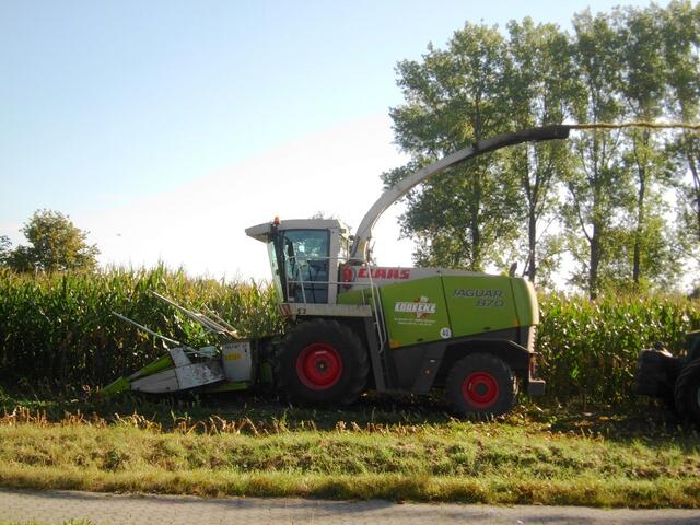 Claas Jaguar 870 (neu ca. 160 000 €) Verbrauch 40 – 100 Liter pro Stunde
