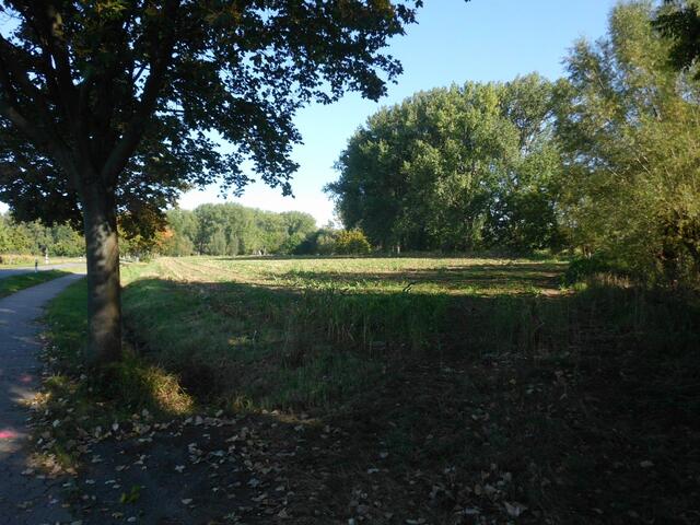 Das abgeerntete Feld