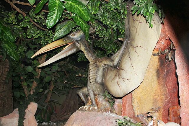 und ganz schön lebendig