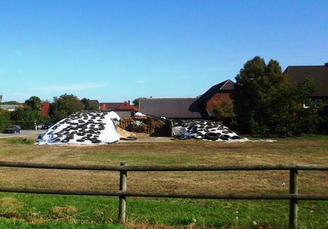 In der Mitte die fertige Silage zum Verfüttern