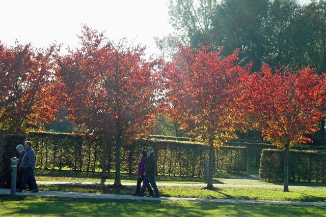 Im Kurpark laden reizvoll angelegte Wege zum Flanieren ein.