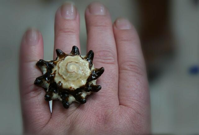 Der neueste Schrei am Finger... *;o)