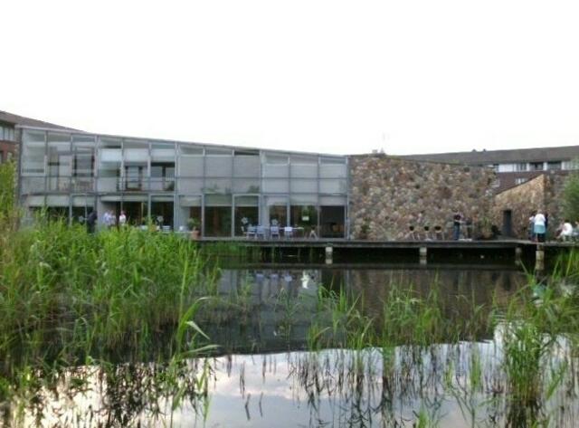 im Sommer wohnt im FesteBurg-Teich der Frosch Quaak und seine große Froschfamilie - die geben laute Konzerte