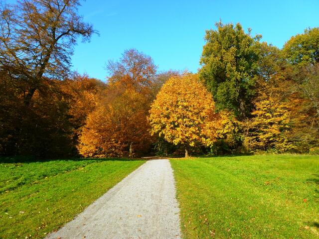 Der Weg zurück zum Auto - leider! Könnte noch stundenlang hier sein!