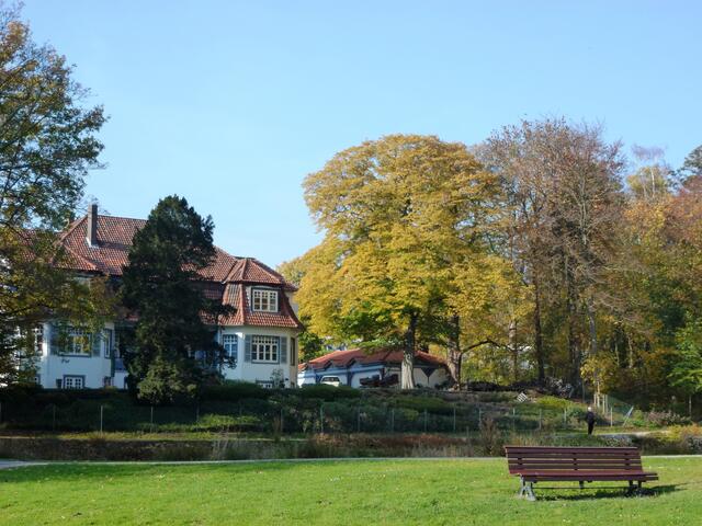 In Farbe schön - aber...