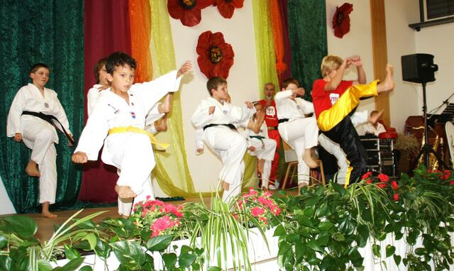 Vorführung beim Herbstfest in Schweinspoint