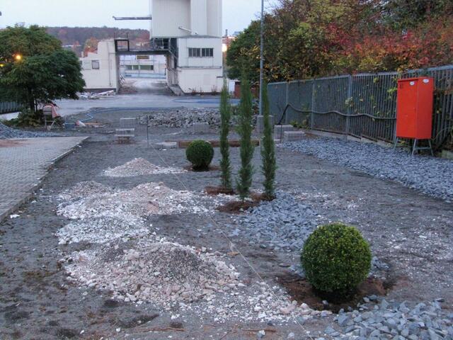 Obwohl die Abrissarbeiten auf dem Milupa-Gelände gerade erst angefangen haben, hat schon jemand die ersten Bäume gepflanzt.