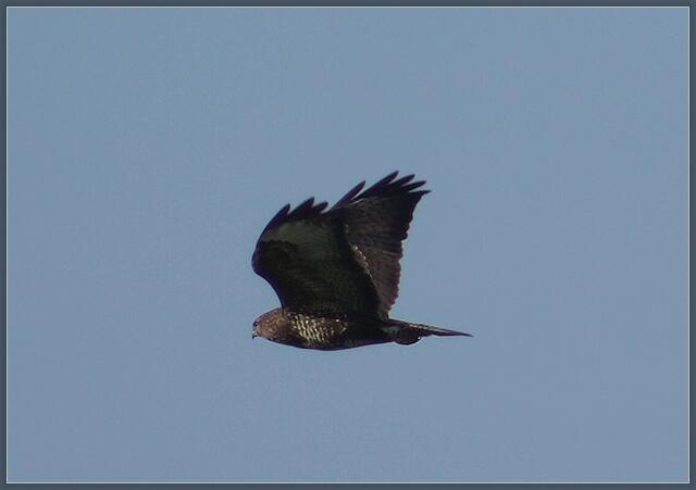 Flug ins Blaue