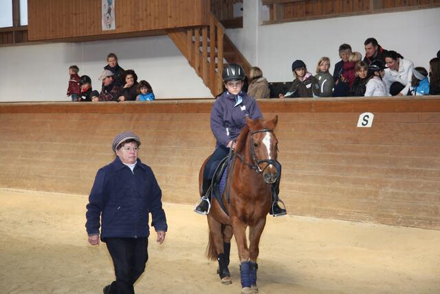Robyn das Welshpony