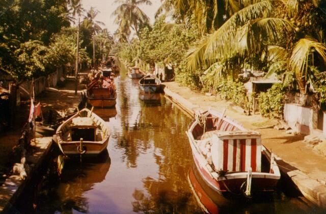 Der Brief war für sie auch deswegen nicht von Bedeutung, da sie wertvolle Gewürze bereits aus anderen Ländern bezogen. Hier der Zimtkanal in Ceylon, den vor etwa 500 Jahren die Portugiesen und die Holländer anlegten und auf dem die Gewürze aus dem Landesinneren an die Küste transportiert wurden.