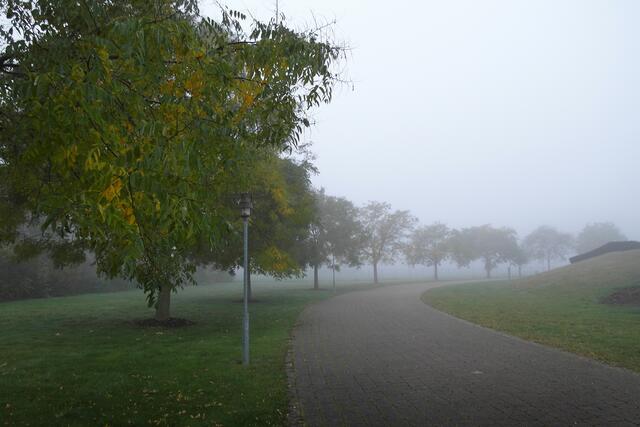 Im Kurpark laden die breiten Wege zum Spazieren ein, doch kein Kurgast ist in dieser nebligen Landschaft unterwegs.