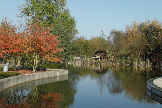 Das fränkische Schöpfrad, das den Parksee mit Frischwasser versorgt, stößt nicht auf das Interesse der Kurgäste.
