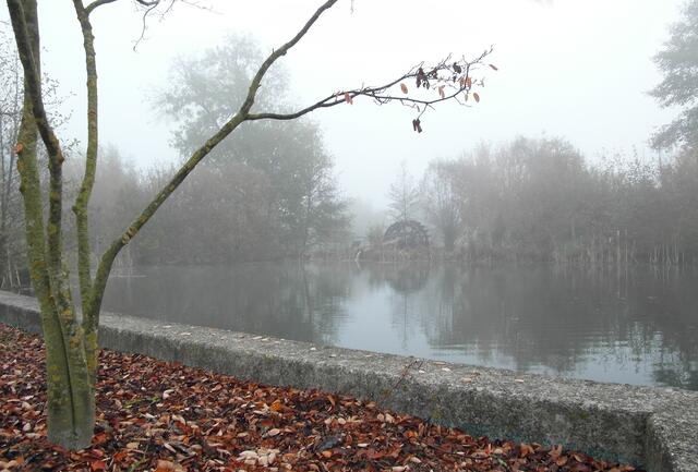 Das fränkische Schöpfrad versorgt auch bei Nebel den Parksee mit frischem Wasser.
