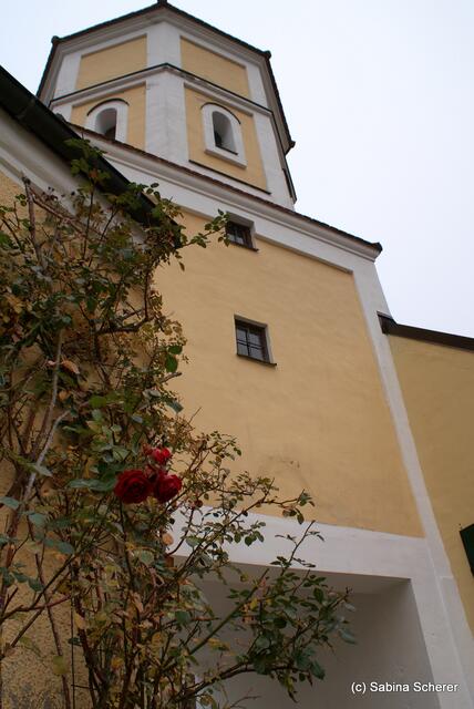 Spätherbst-Impressionen auf Schloss Blumenthal (Bayern) am 13.11.2011