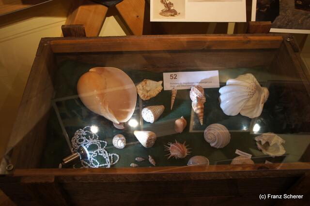 Das Mercateum in Königsbrunn. Auf fünf Ebenen werden die Stationen des Welthandels dokumentiert