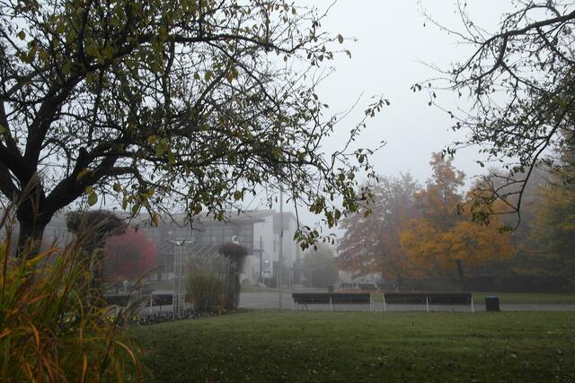 Romantischen Malern hätte es gefallen, die Herbstlandschaft im Nebel darzustellen. Dem Fotografen reicht es, wenn angesichts des nasskalten Wetters der Akku seiner Kamera durchhält.