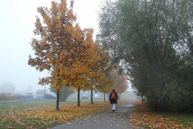 Zielstrebig zieht die Nordic-Walkerin durch die neblige Herbstlandschaft am Stadtrand von Bad Staffelstein.