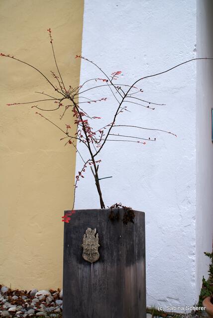 Spätherbst-Impressionen auf Schloss Blumenthal (Bayern) am 13.11.2011