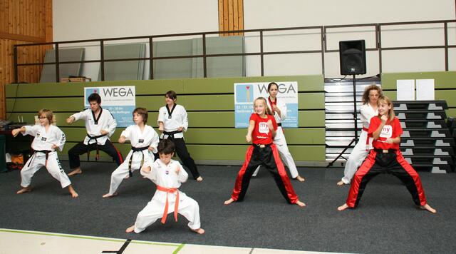 Vorführung auf der WEGA in Meitingen