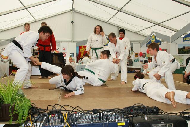 Allkampf-Jitsu Vorführung (14. Donau-Ries-Messe)