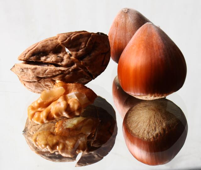 Gertraude auf Platz 3