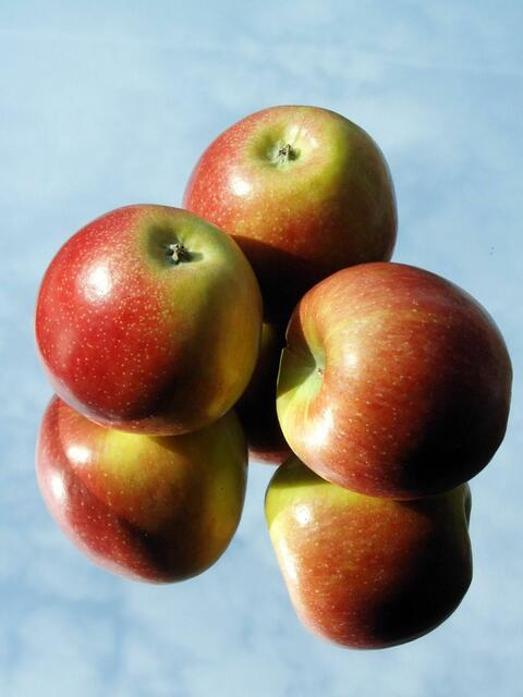 Elisabeth auf Platz 8