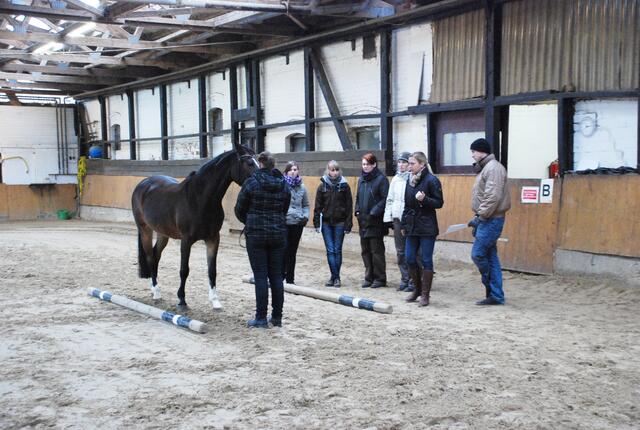 Musterung auf der Dreiecksbahn. Divina, eine 14jährige Stute - Deutsches Reitpony - präsentierte sich auch im Unterricht vorbildlich.