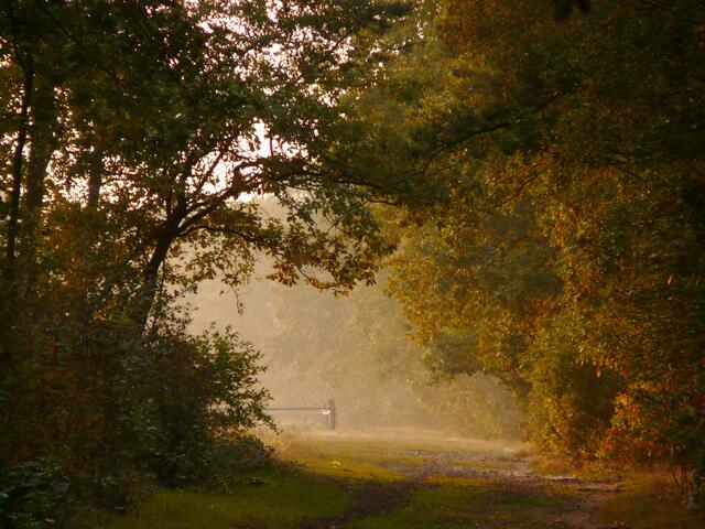 Der Weg zum "Lieblingsplatz"...