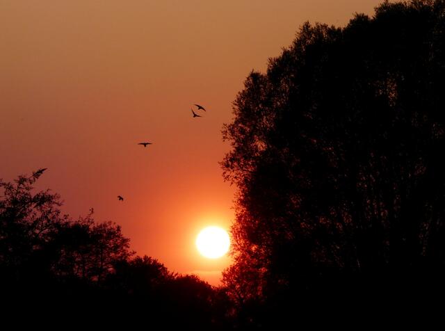 Flug in den Sonnenuntergang
