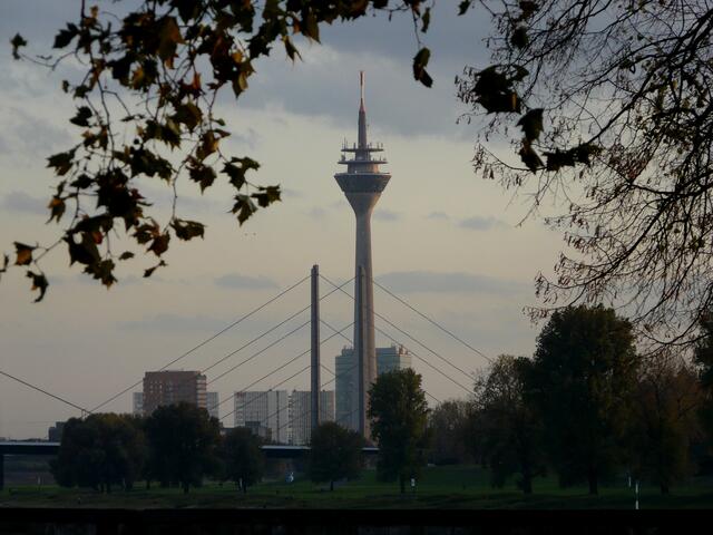Ein AUSFLUG nach NRW - Ruhige Abendstimmung! Ein Blick - über den Rhein hinweg - zum Rheinturm am Rande der südlichen Innenstadt - an einem schönen Platz unter den Bäumen des  Rheinparks Golzheim stehend.