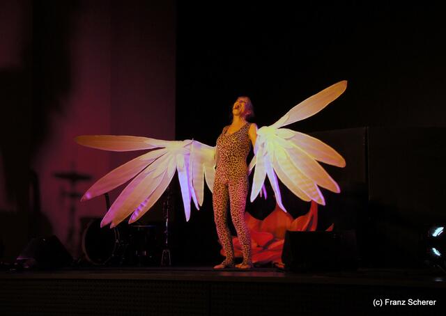 Gönn' Dir ne Auszeit - Sissi Perlinger mit neuem Programm auf Tour