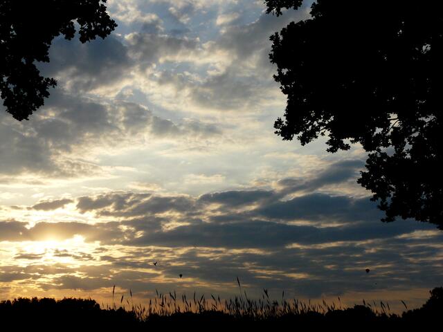 Sonnenuntergang - Entdeckungsreise! Bitte genau schauen! Was könnt ihr entdecken?