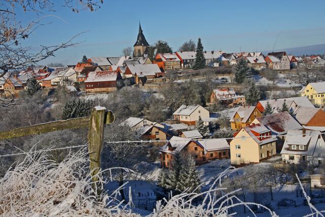 Winter in Landau 2009