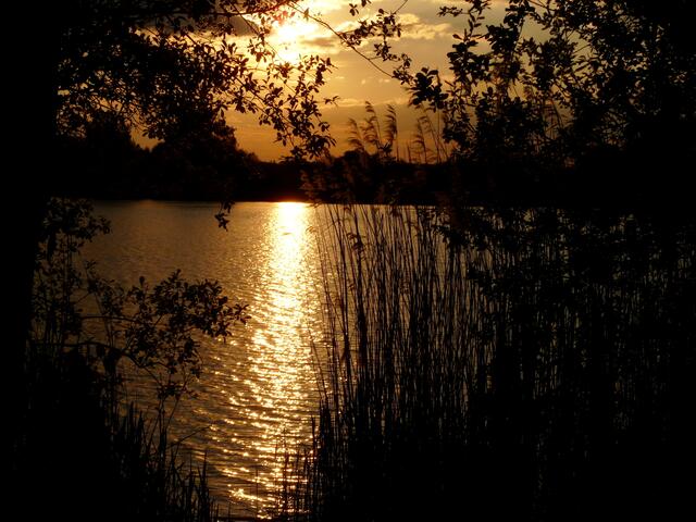 Sonnenuntergang am Wietzesee.