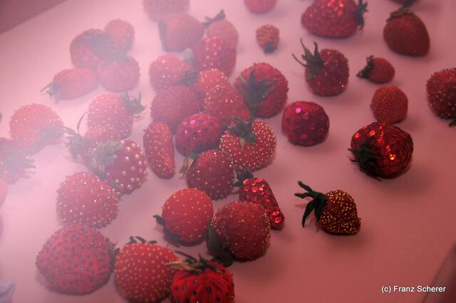 In Hülle mit Fülle. Alraunes Fest der weichen Kunst.