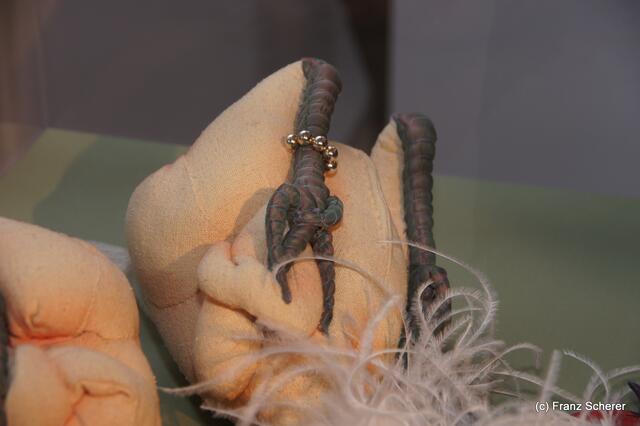 In Hülle mit Fülle. Alraunes Fest der weichen Kunst.