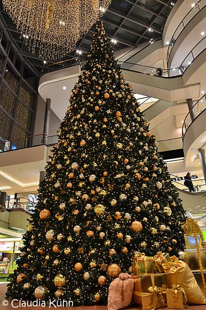 Riesiger Tannenbaum, den hätte ich auch gern ;-)))))