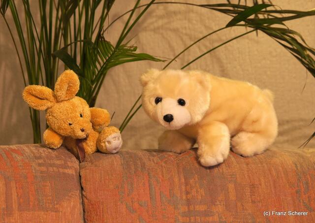 Daheim - Adventstimmung am 02. Adventsonntag 2011