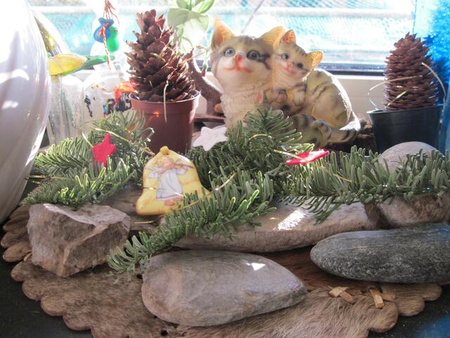 Auf ihrer Fensterbank