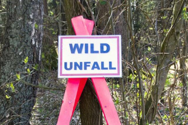 Findet man jetzt überall. Soviel Wild -wo soll das laufen?